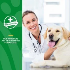 NaturVet Advanced Probiotics & Enzymes Plus Vet Strength PB6 Probiotic Soft Chews Digestive Supplement For Dogs -NaturVet 100644 PT5. AC SS1800 V1698695758