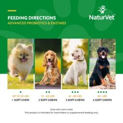 NaturVet Advanced Probiotics & Enzymes Plus Vet Strength PB6 Probiotic Soft Chews Digestive Supplement For Dogs -NaturVet 100644 PT6. AC SS1800 V1698695023