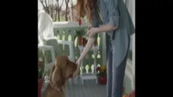 NaturVet ArthriSoothe-GOLD Clinically Tested Advanced Care Soft Chew Hip And Joint Supplement For Dogs And Cats, 180 Ct. -NaturVet 1117172 VIDEO 1 480x270 1200k