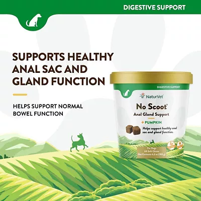 NaturVet No Scoot Plus Pumpkin Digestive Supplement For Dogs, 3.5 Lb., 60 Ct. 4 NaturVet No Scoot Plus Pumpkin Digestive Supplement For Dogs, 3.5 Lb., 60 Ct. - Image 2