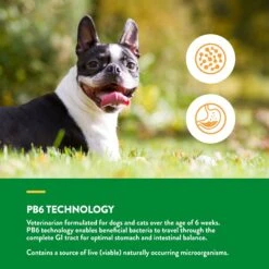 NaturVet Advanced Probiotics & Enzymes Plus Vet Strength PB6 Probiotic Powder Digestive Supplement For Cats & Dogs -NaturVet 150338 PT3. AC SS1800 V1698693236