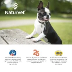 NaturVet Advanced Probiotics & Enzymes Plus Vet Strength PB6 Probiotic Powder Digestive Supplement For Cats & Dogs -NaturVet 150338 PT8. AC SS1800 V1698697413