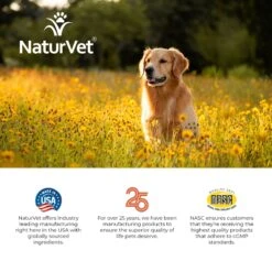 NaturVet Hemp Soft Chews Allergy Supplement For Dogs -NaturVet 150346 PT8. AC SS1800 V1698694601