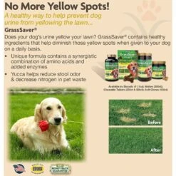 NaturVet GrassSaver Plus Enzymes Soft Chews Urinary & Lawn Protection Supplement For Dogs 13 NaturVet GrassSaver Plus Enzymes Soft Chews Urinary & Lawn Protection Supplement For Dogs -NaturVet 218970 PT5. AC SS1800 V1665417111