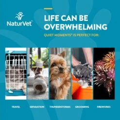NaturVet Quiet Moments Liquid Calming Supplement For Cats & Dogs 14 NaturVet Quiet Moments Liquid Calming Supplement For Cats & Dogs -NaturVet 234615 PT3. AC SS1800 V1698697471