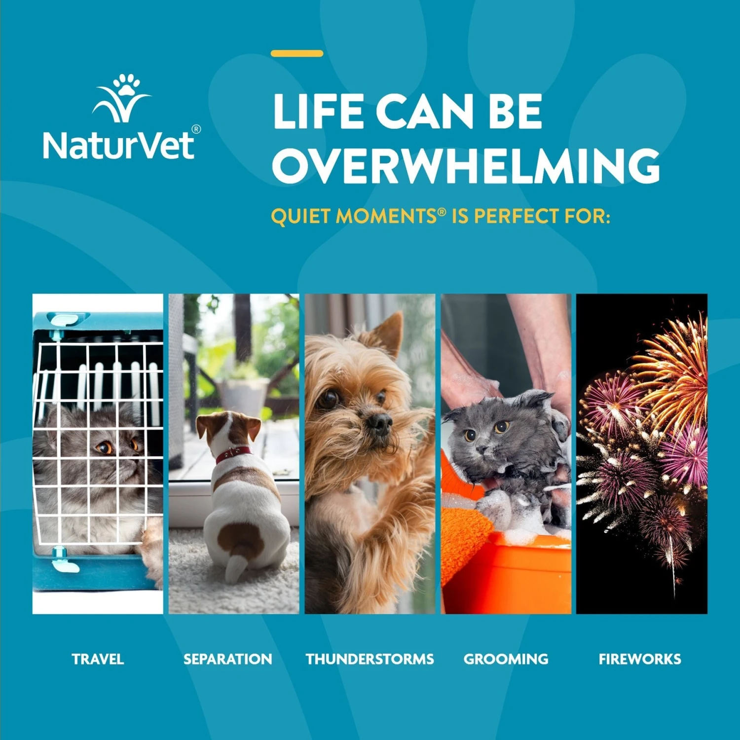 NaturVet Quiet Moments Liquid Calming Supplement For Cats & Dogs 6 NaturVet Quiet Moments Liquid Calming Supplement For Cats & Dogs - Image 4