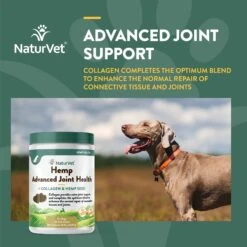 NaturVet Hemp Advanced Joint Health Glucosamine, Chondroitin & MSM Plus Collagen, Extra Joint Support Dog Supplement 13 NaturVet Hemp Advanced Joint Health Glucosamine, Chondroitin & MSM Plus Collagen, Extra Joint Support Dog Supplement -NaturVet 252054 PT3. AC SS1800 V1698692450