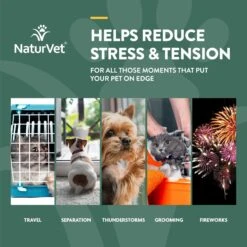 NaturVet Hemp Quiet Moments Liquid Calming Supplement For Cats & Dogs -NaturVet 252056 PT3. AC SS1800 V1698694288