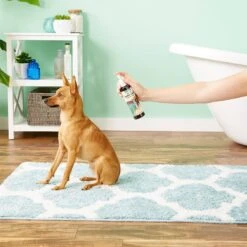 NaturVet Aller-911 Allergy Aid Anti-Lick Paw Plus Aloe Vera Dog & Cat Spray & NaturVet Aller-911 Plus Antioxidants Soft Chews Allergy Supplement For Dogs 8 NaturVet Aller-911 Allergy Aid Anti-Lick Paw Plus Aloe Vera Dog & Cat Spray & NaturVet Aller-911 Plus Antioxidants Soft Chews Allergy Supplement For Dogs -NaturVet 255709 PT2. AC SS1800 V1604072544