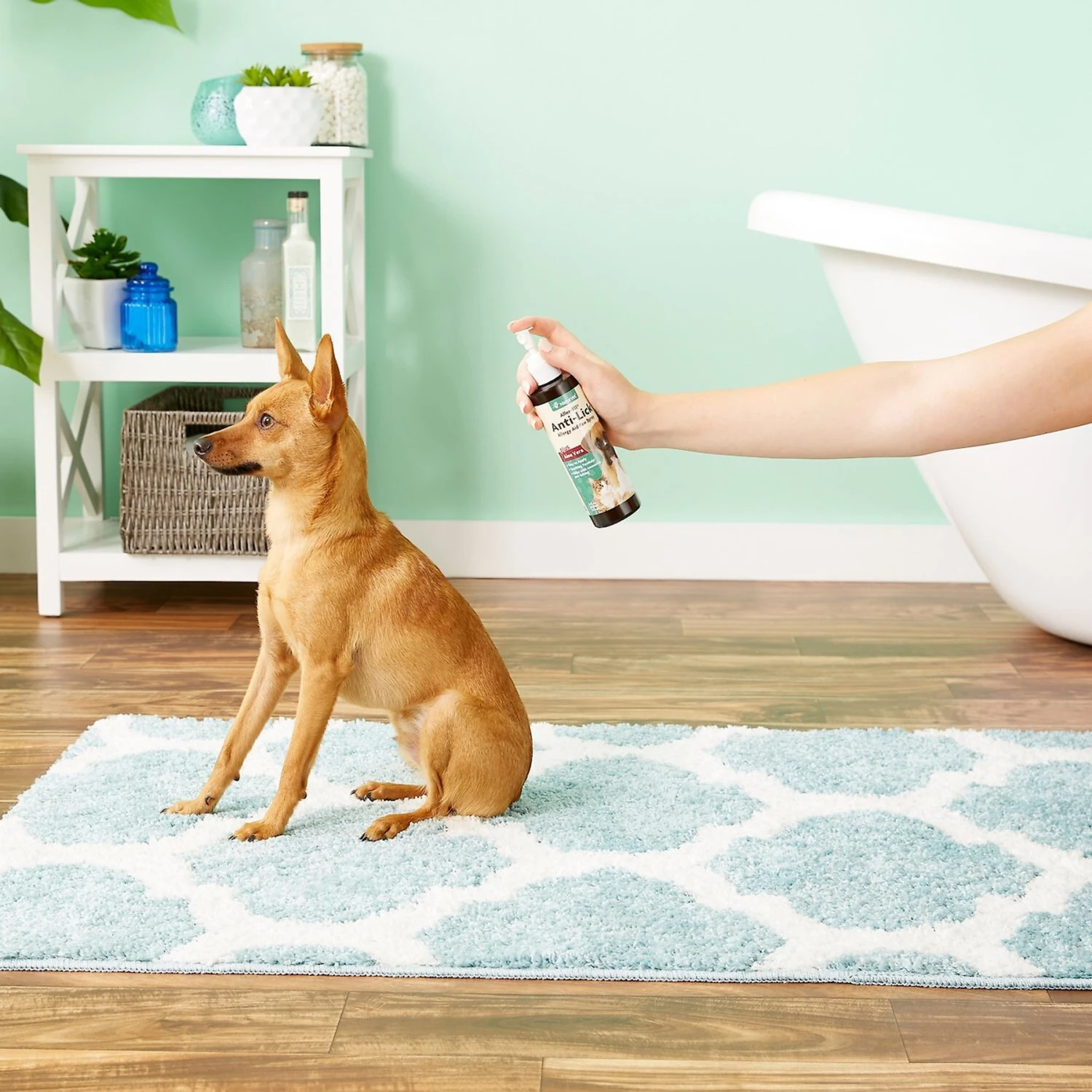 NaturVet Aller-911 Allergy Aid Anti-Lick Paw Plus Aloe Vera Dog & Cat Spray & NaturVet Aller-911 Plus Antioxidants Soft Chews Allergy Supplement For Dogs 5 NaturVet Aller-911 Allergy Aid Anti-Lick Paw Plus Aloe Vera Dog & Cat Spray & NaturVet Aller-911 Plus Antioxidants Soft Chews Allergy Supplement For Dogs - Image 3