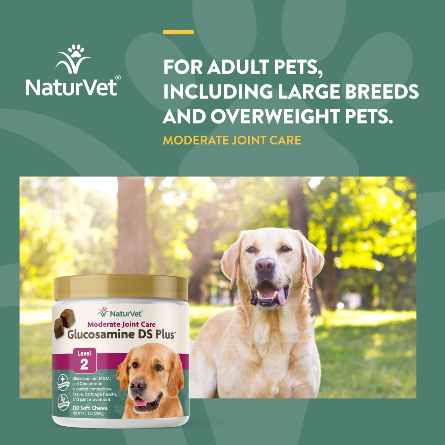NaturVet Moderate Care Glucosamine DS Plus Soft Chews Joint Supplement For Cats & Dogs 4 NaturVet Moderate Care Glucosamine DS Plus Soft Chews Joint Supplement For Cats & Dogs - Image 2