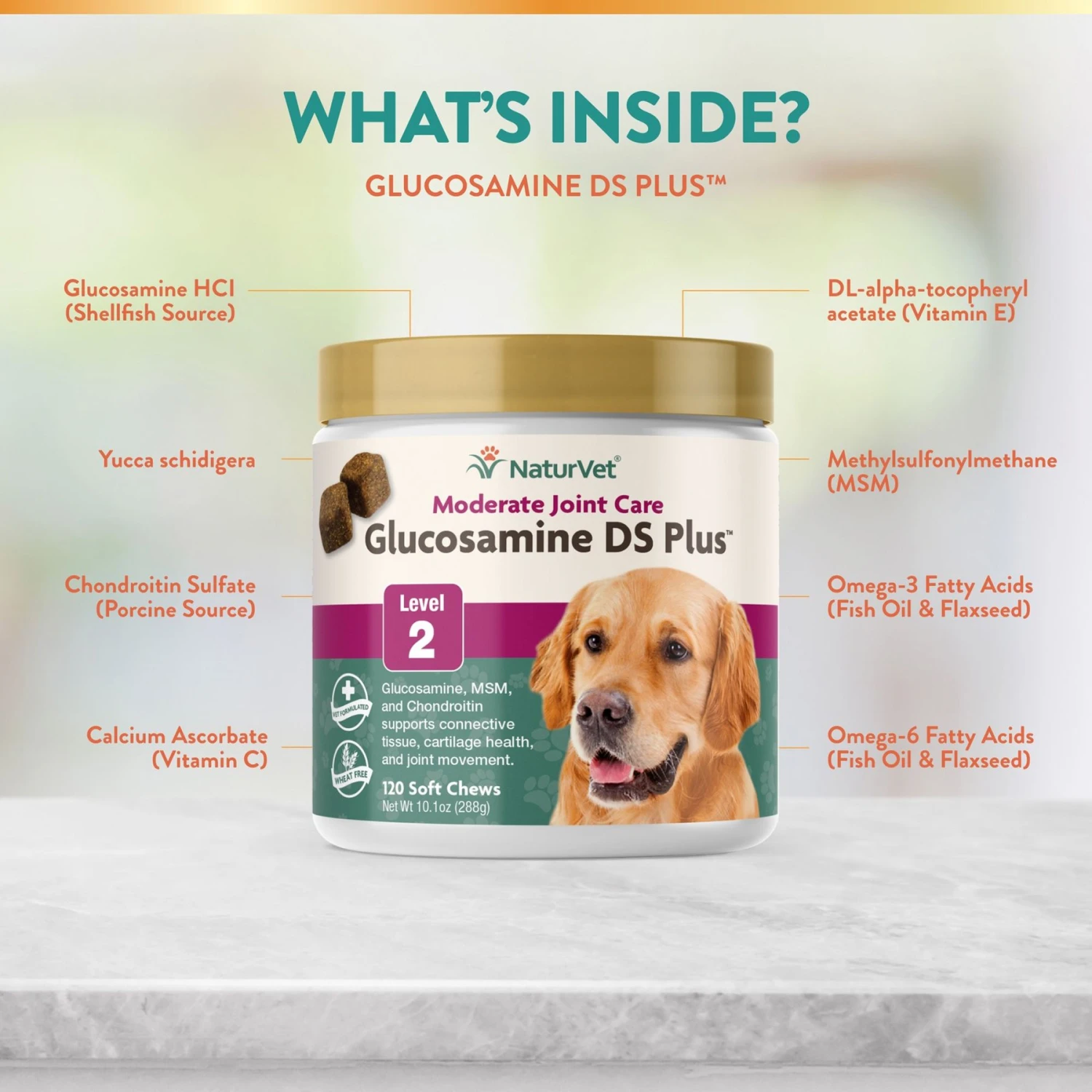 NaturVet Moderate Care Glucosamine DS Plus Soft Chews Joint Supplement For Cats & Dogs 5 NaturVet Moderate Care Glucosamine DS Plus Soft Chews Joint Supplement For Cats & Dogs - Image 3
