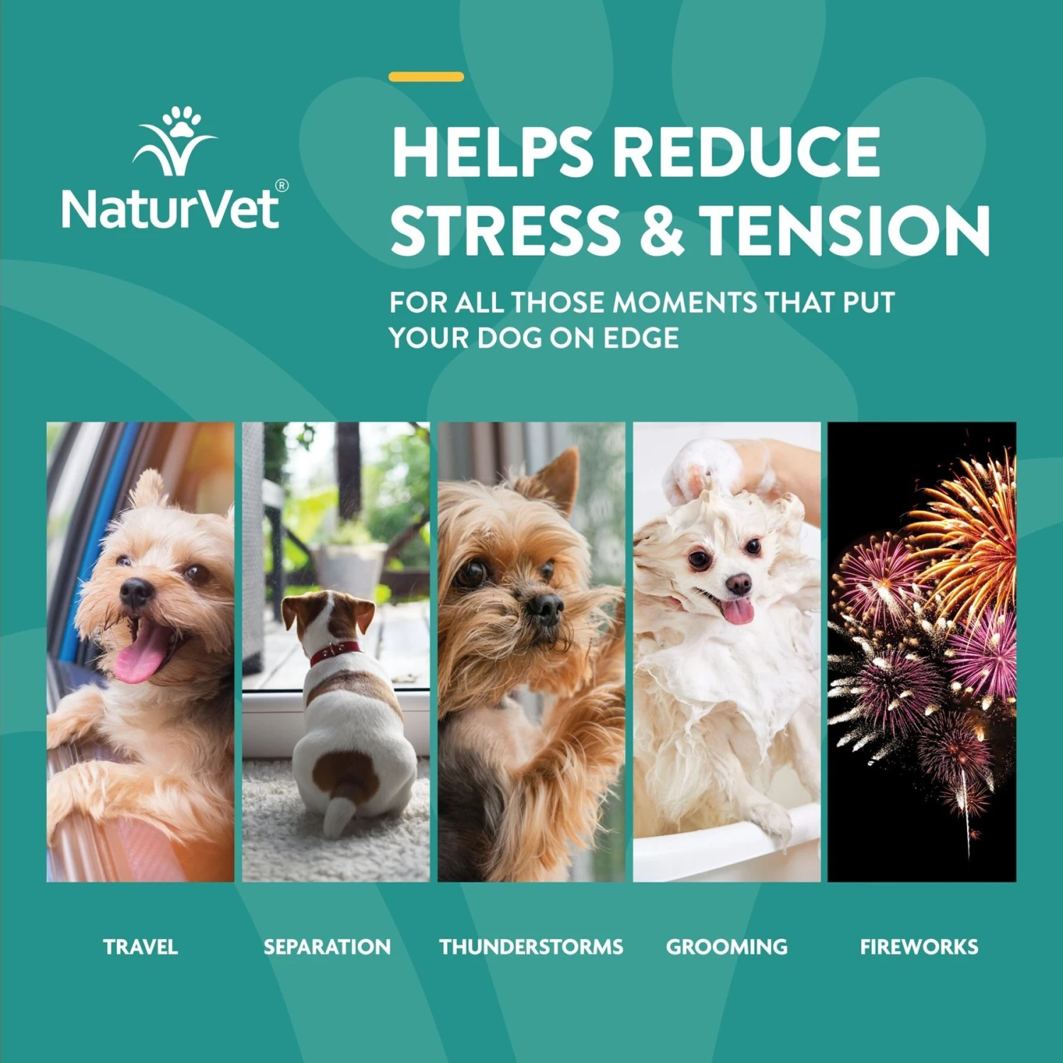 NaturVet Hemp Quiet Moments Soft Chews Calming Supplement For Dogs & NaturVet Hemp Soft Chews Joint Supplement For Dogs 4 NaturVet Hemp Quiet Moments Soft Chews Calming Supplement For Dogs & NaturVet Hemp Soft Chews Joint Supplement For Dogs - Image 2