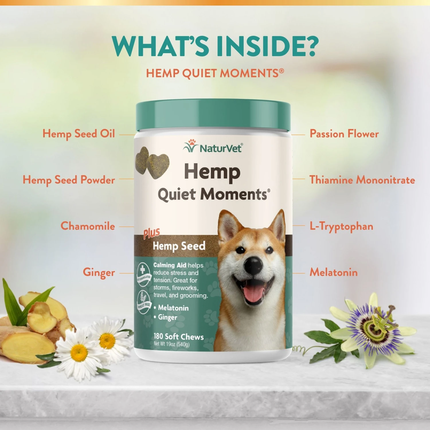NaturVet Hemp Quiet Moments Soft Chews Calming Supplement For Dogs & NaturVet Hemp Soft Chews Joint Supplement For Dogs 5 NaturVet Hemp Quiet Moments Soft Chews Calming Supplement For Dogs & NaturVet Hemp Soft Chews Joint Supplement For Dogs - Image 3