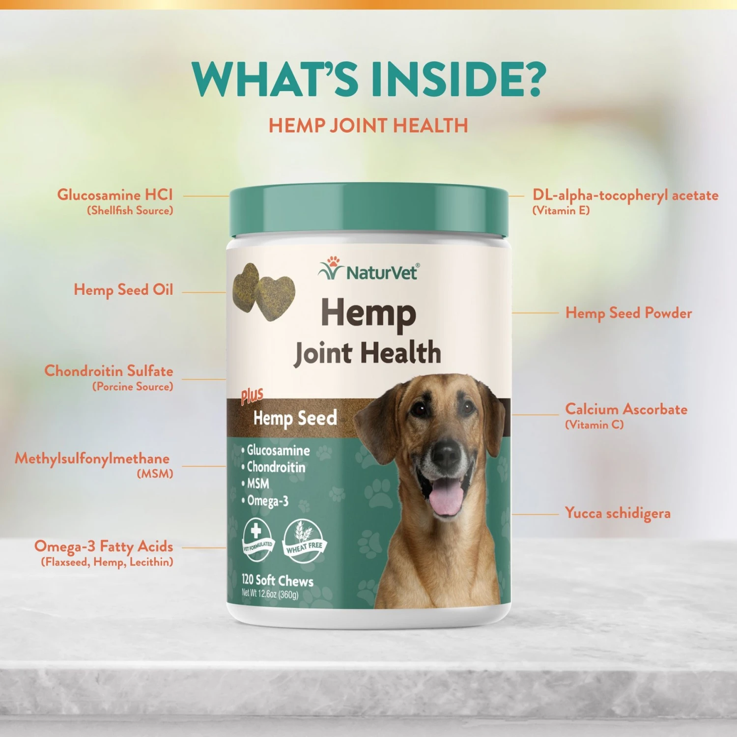 NaturVet Hemp Quiet Moments Soft Chews Calming Supplement For Dogs & NaturVet Hemp Soft Chews Joint Supplement For Dogs 9 NaturVet Hemp Quiet Moments Soft Chews Calming Supplement For Dogs & NaturVet Hemp Soft Chews Joint Supplement For Dogs - Image 7