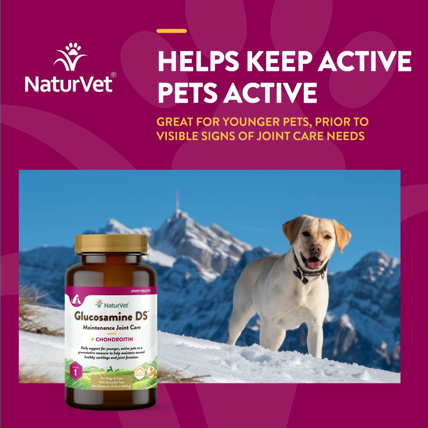 NaturVet Maintenance Care Glucosamine DS Chewable Tablets Joint Supplement For Dogs & Cats 6 NaturVet Maintenance Care Glucosamine DS Chewable Tablets Joint Supplement For Dogs & Cats - Image 4