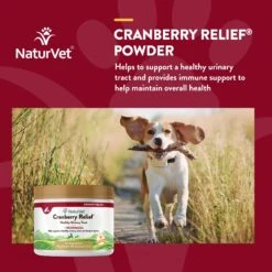 NaturVet Cranberry Relief Plus Echinacea Powder Urinary Supplement For Cats & Dogs 13 NaturVet Cranberry Relief Plus Echinacea Powder Urinary Supplement For Cats & Dogs -NaturVet 51637 PT3. AC SS1800 V1698696409