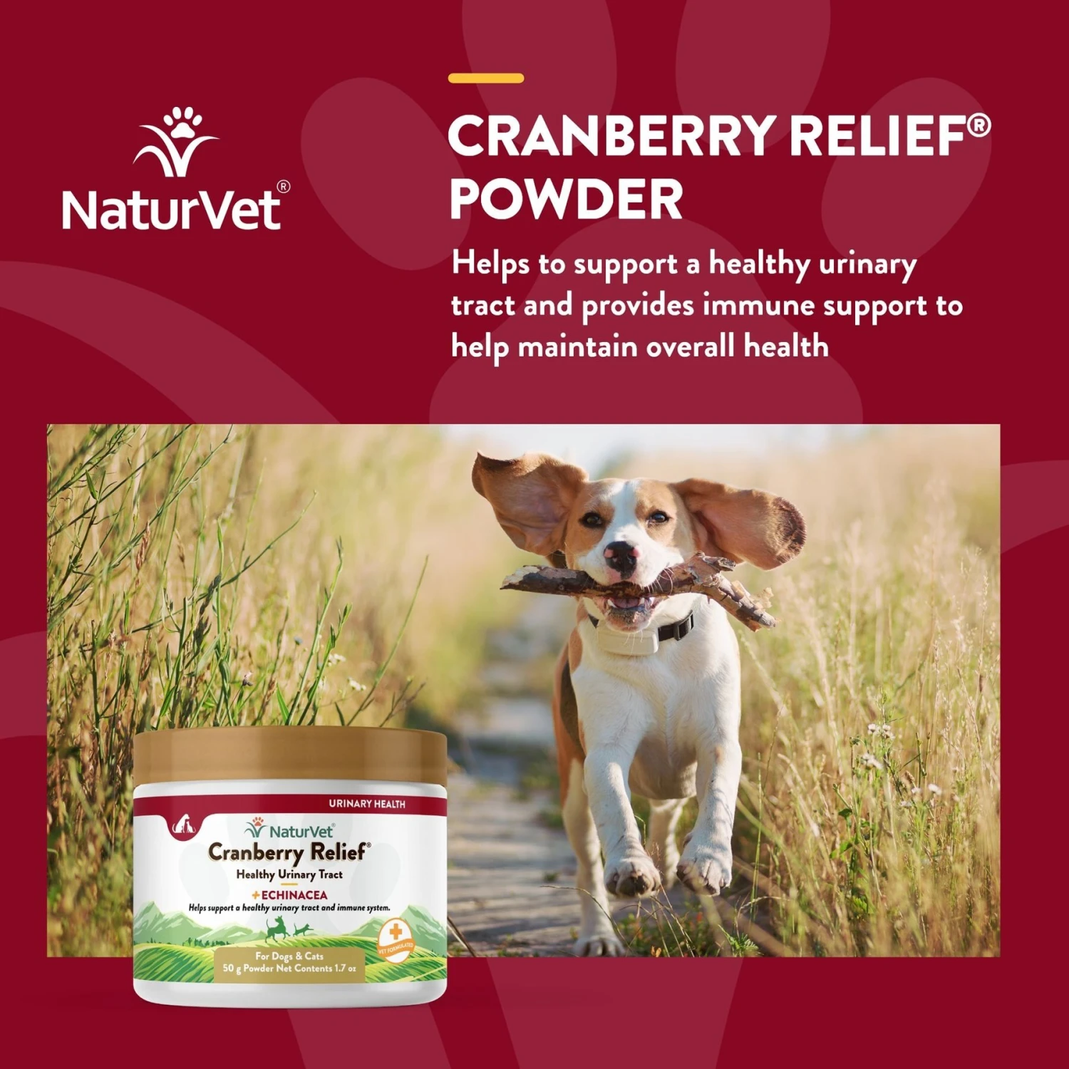 NaturVet Cranberry Relief Plus Echinacea Powder Urinary Supplement For Cats & Dogs 6 NaturVet Cranberry Relief Plus Echinacea Powder Urinary Supplement For Cats & Dogs - Image 4