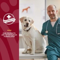 NaturVet Cranberry Relief Plus Echinacea Powder Urinary Supplement For Cats & Dogs 15 NaturVet Cranberry Relief Plus Echinacea Powder Urinary Supplement For Cats & Dogs -NaturVet 51637 PT5. AC SS1800 V1698696410