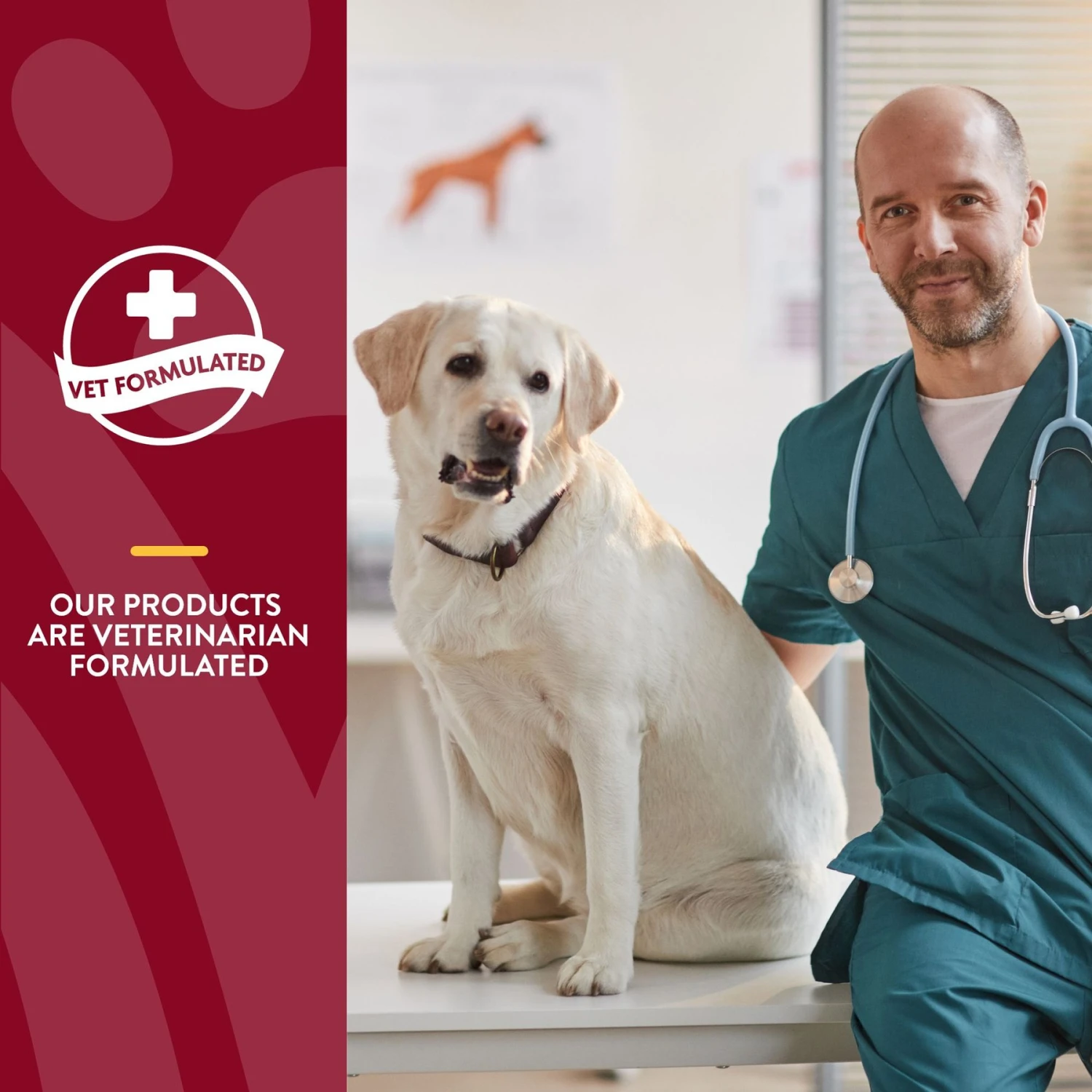 NaturVet Cranberry Relief Plus Echinacea Powder Urinary Supplement For Cats & Dogs 8 NaturVet Cranberry Relief Plus Echinacea Powder Urinary Supplement For Cats & Dogs - Image 6