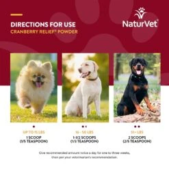 NaturVet Cranberry Relief Plus Echinacea Powder Urinary Supplement For Cats & Dogs 16 NaturVet Cranberry Relief Plus Echinacea Powder Urinary Supplement For Cats & Dogs -NaturVet 51637 PT6. AC SS1800 V1698695292