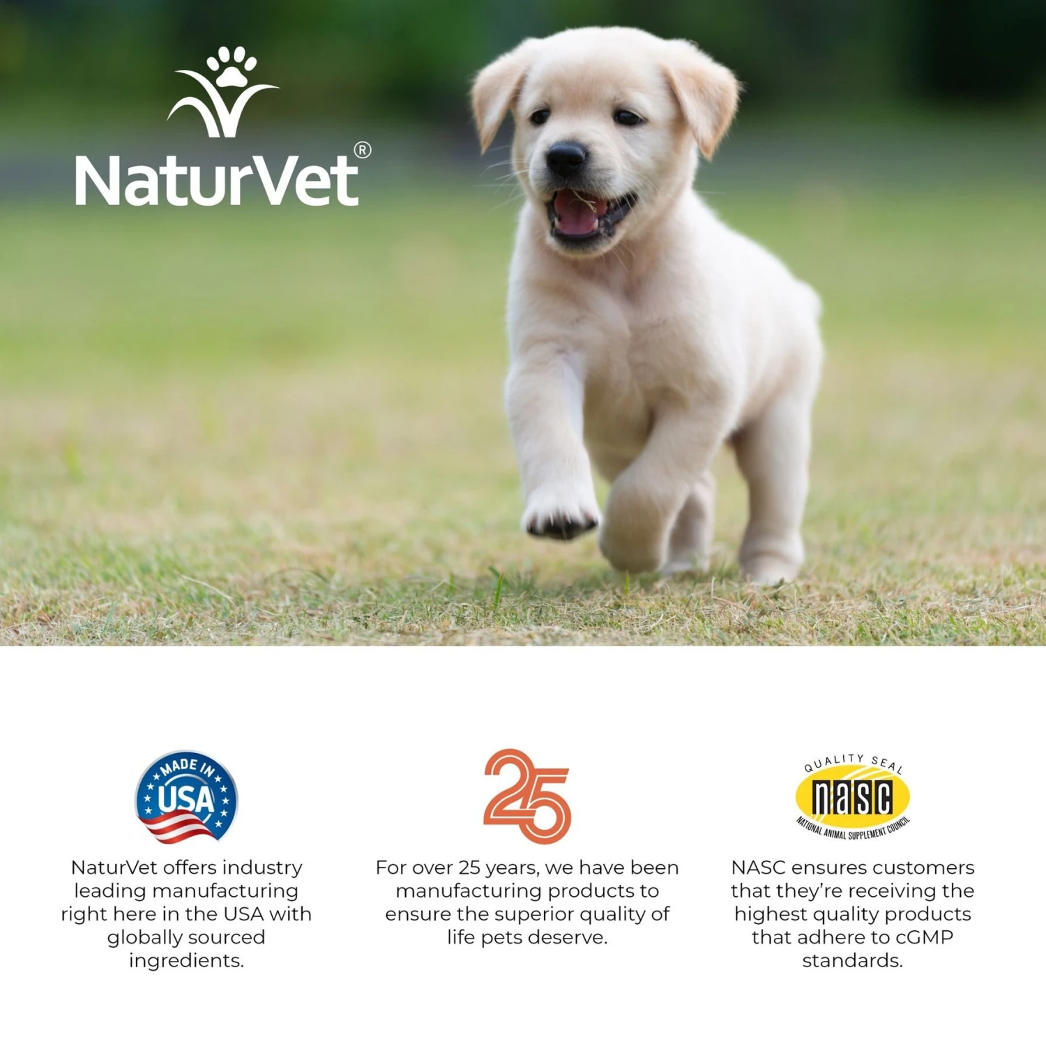 NaturVet VitaPet Puppy Plus Breath Aid Chewable Tablets Multivitamin For Dogs 11 NaturVet VitaPet Puppy Plus Breath Aid Chewable Tablets Multivitamin For Dogs - Image 9