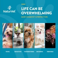 NaturVet Quiet Moments Chewable Tablets Calming Supplement For Dogs -NaturVet 51659 PT3. AC SS1800 V1698692562