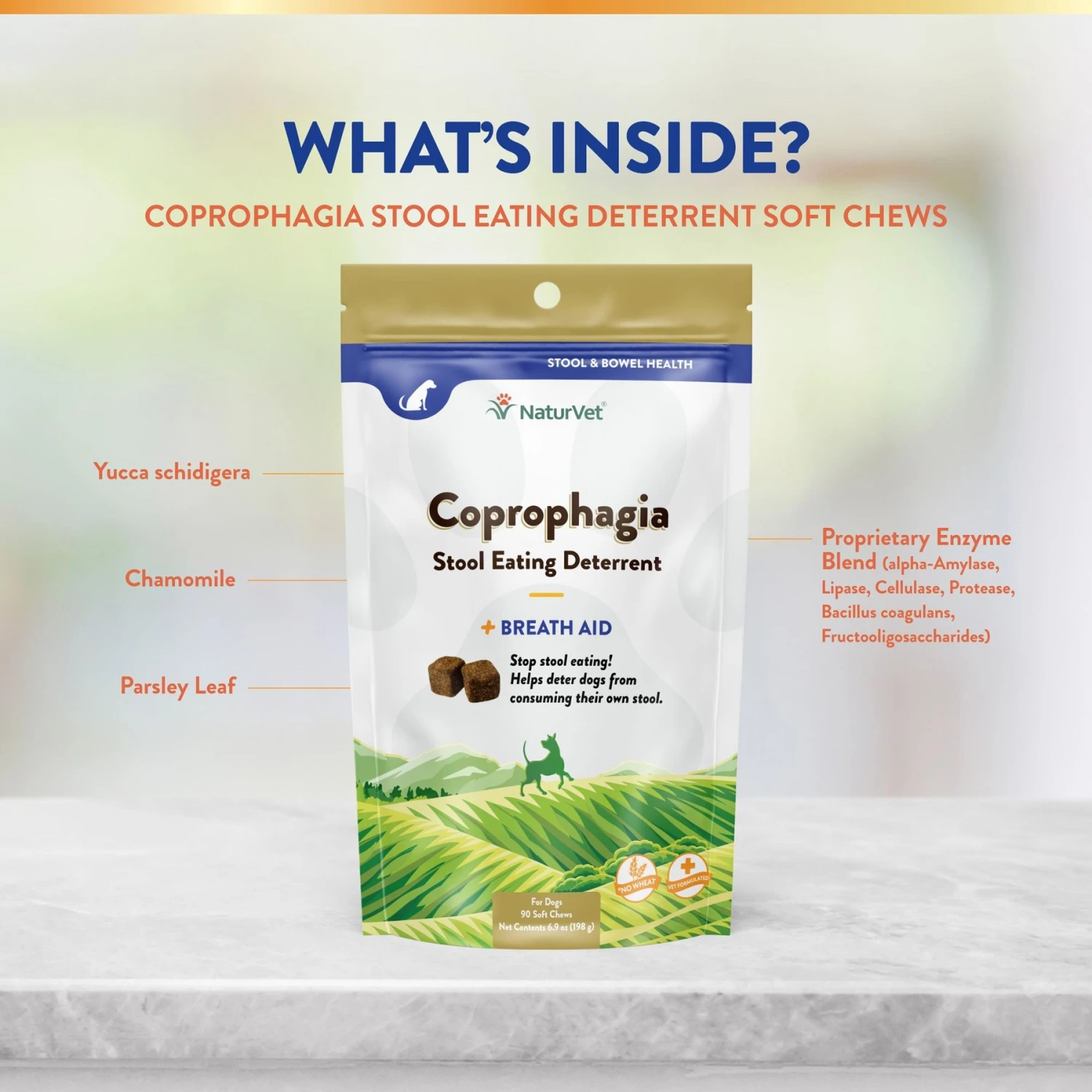 NaturVet Coprophagia Plus Breath Aid Soft Chews Coprophagia Supplement For Dogs 7 NaturVet Coprophagia Plus Breath Aid Soft Chews Coprophagia Supplement For Dogs - Image 5