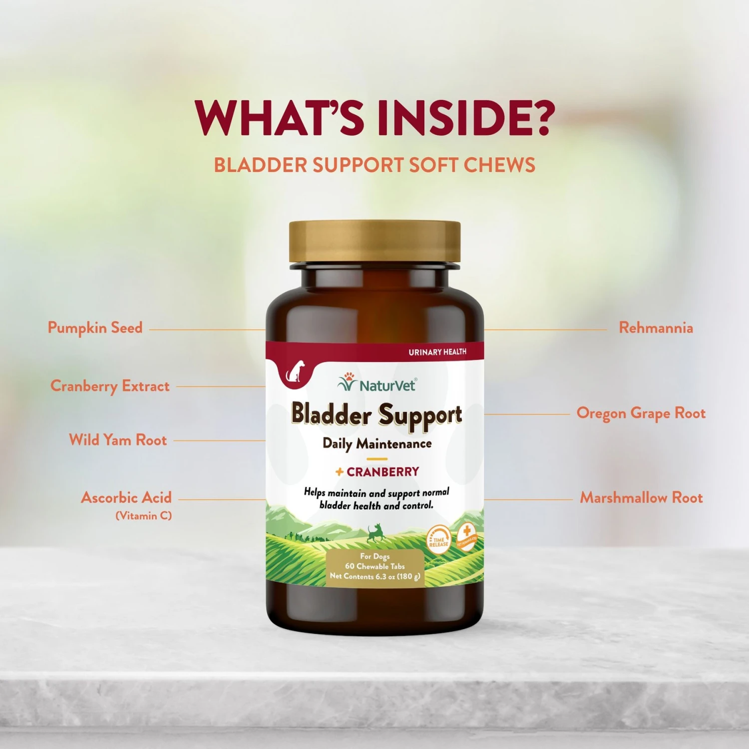 NaturVet Bladder Support Plus Cranberry Chewable Tablets Urinary Supplement For Dogs 7 NaturVet Bladder Support Plus Cranberry Chewable Tablets Urinary Supplement For Dogs - Image 5