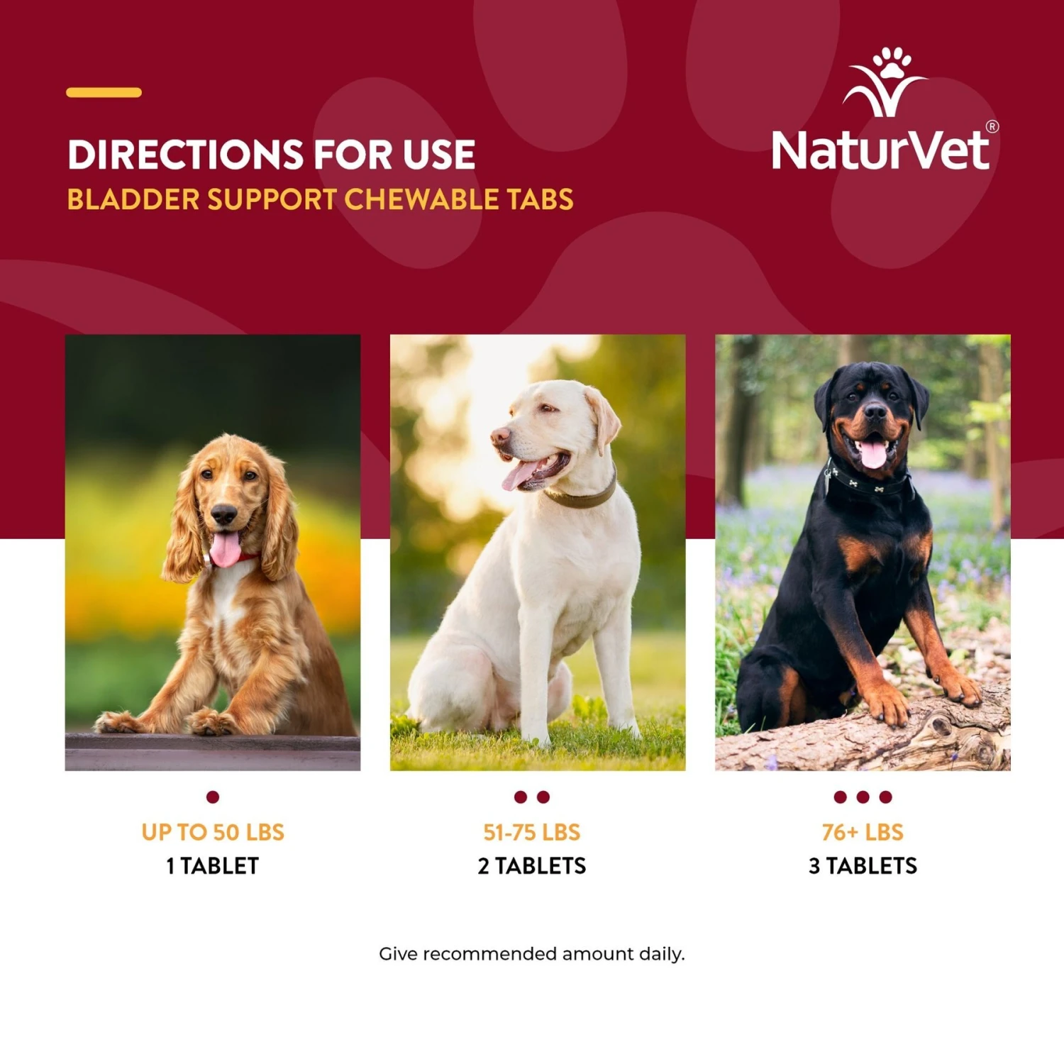 NaturVet Bladder Support Plus Cranberry Chewable Tablets Urinary Supplement For Dogs 9 NaturVet Bladder Support Plus Cranberry Chewable Tablets Urinary Supplement For Dogs - Image 7