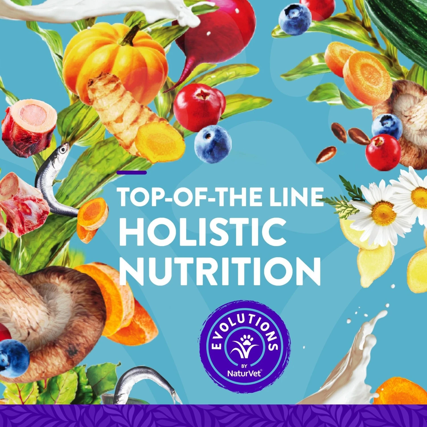 NaturVet Evolutions All-in-1 Soft Chews Dog Supplement 6 NaturVet Evolutions All-in-1 Soft Chews Dog Supplement - Image 4