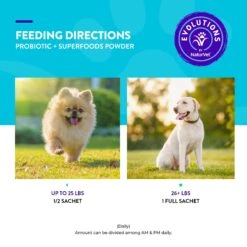 NaturVet Evolutions Probiotic + Superfoods Dog Supplement, 30 Count 16 NaturVet Evolutions Probiotic + Superfoods Dog Supplement, 30 Count -NaturVet 565854 PT6. AC SS1800 V1698691725