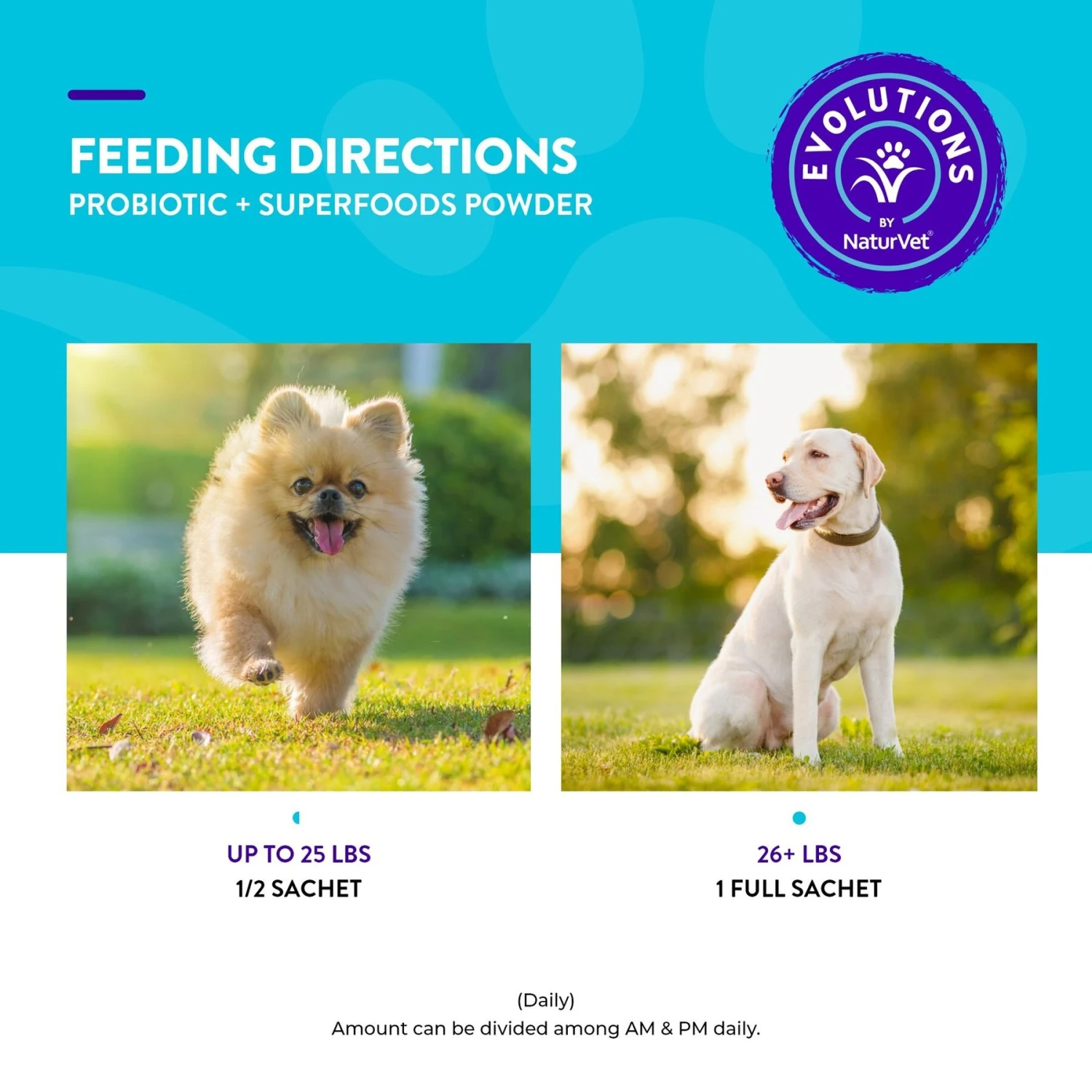 NaturVet Evolutions Probiotic + Superfoods Dog Supplement, 30 Count 9 NaturVet Evolutions Probiotic + Superfoods Dog Supplement, 30 Count - Image 7