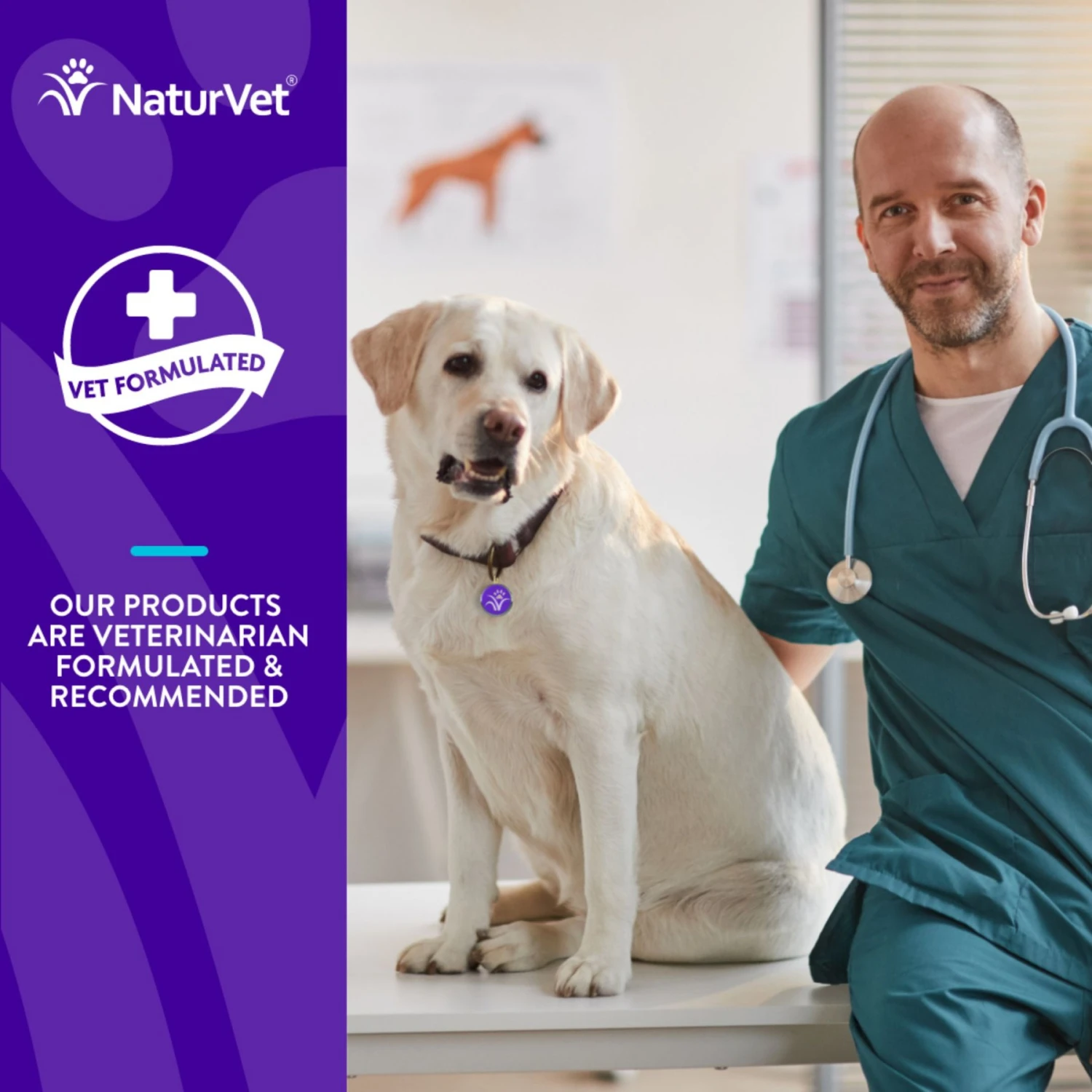 NaturVet Evolutions Anchovy + Allergy Support Soft Chews Dog Supplement 6 NaturVet Evolutions Anchovy + Allergy Support Soft Chews Dog Supplement - Image 4