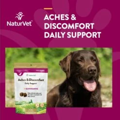 NaturVet Aches & Discomfort Plus Glucosamine Soft Chews Joint Supplement For Dogs 13 NaturVet Aches & Discomfort Plus Glucosamine Soft Chews Joint Supplement For Dogs -NaturVet 60311 PT3. AC SS1800 V1698692782