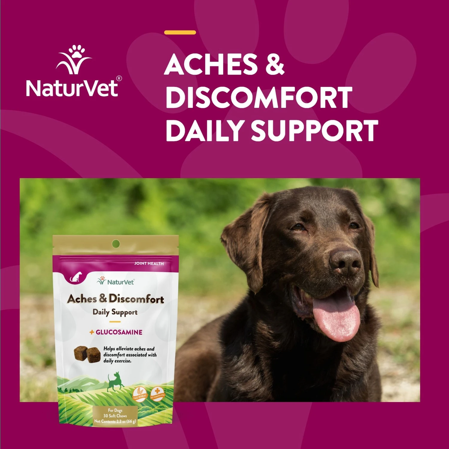 NaturVet Aches & Discomfort Plus Glucosamine Soft Chews Joint Supplement For Dogs 6 NaturVet Aches & Discomfort Plus Glucosamine Soft Chews Joint Supplement For Dogs - Image 4