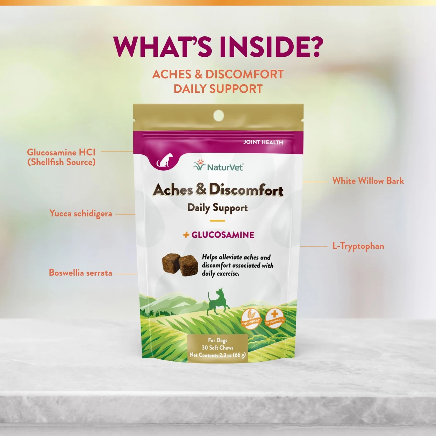 NaturVet Aches & Discomfort Plus Glucosamine Soft Chews Joint Supplement For Dogs 7 NaturVet Aches & Discomfort Plus Glucosamine Soft Chews Joint Supplement For Dogs - Image 5