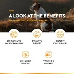 NaturVet All-in-One Powder Multivitamin For Dogs 14 NaturVet All-in-One Powder Multivitamin For Dogs -NaturVet 60320 PT4. AC SS1800 V1698697705