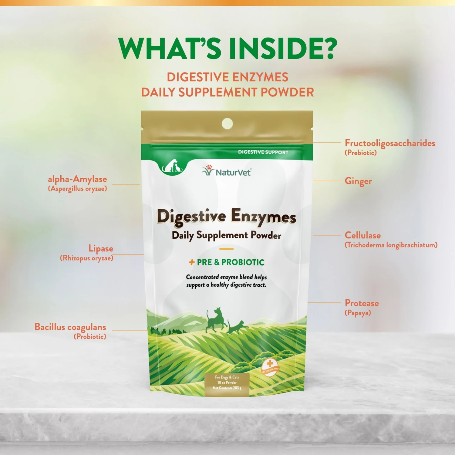 NaturVet Digestive Enzymes Plus Pre & Probiotic Powder Digestive Supplement For Cats & Dogs 7 NaturVet Digestive Enzymes Plus Pre & Probiotic Powder Digestive Supplement For Cats & Dogs - Image 5