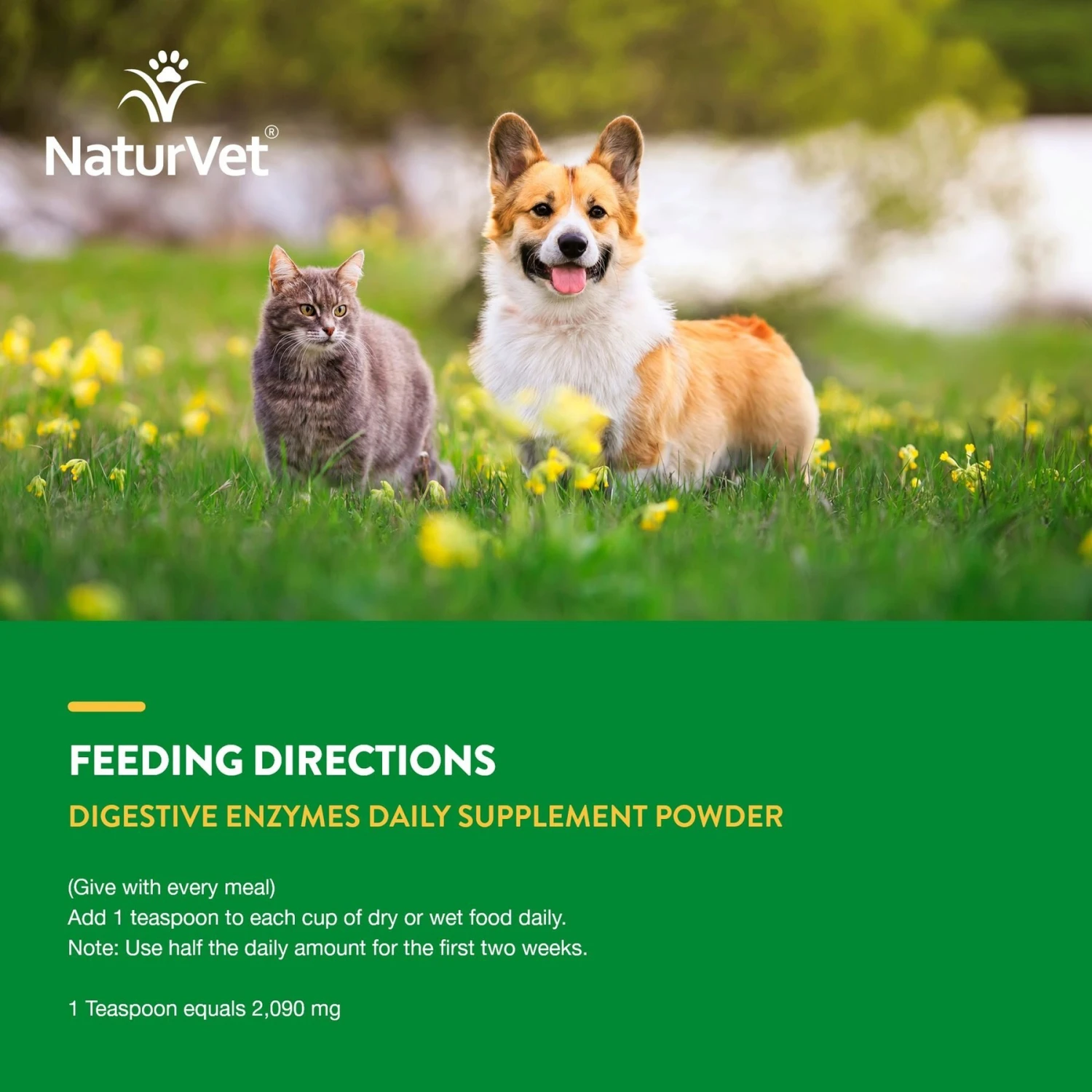 NaturVet Digestive Enzymes Plus Pre & Probiotic Powder Digestive Supplement For Cats & Dogs 9 NaturVet Digestive Enzymes Plus Pre & Probiotic Powder Digestive Supplement For Cats & Dogs - Image 7