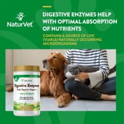 NaturVet Digestive Enzymes Plus Probiotic Powder Digestive Supplement For Cats & Dogs -NaturVet 63793 PT3. AC SS1800 V1698691664