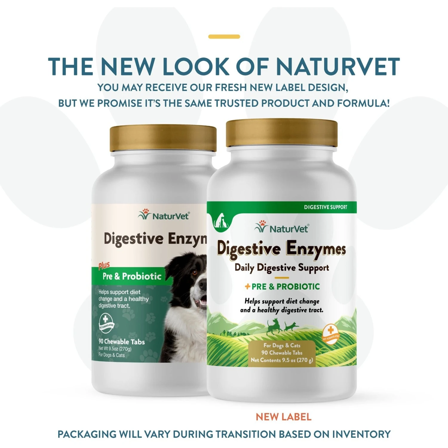 NaturVet Digestive Enzymes Plus Probiotic Chewable Tablets Digestive Supplement For Cats & Dogs 4 NaturVet Digestive Enzymes Plus Probiotic Chewable Tablets Digestive Supplement For Cats & Dogs - Image 2