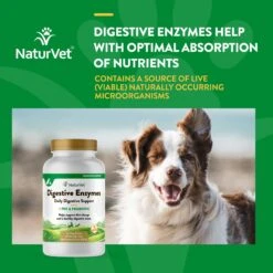 NaturVet Digestive Enzymes Plus Probiotic Chewable Tablets Digestive Supplement For Cats & Dogs 14 NaturVet Digestive Enzymes Plus Probiotic Chewable Tablets Digestive Supplement For Cats & Dogs -NaturVet 63794 PT3. AC SS1800 V1698694069