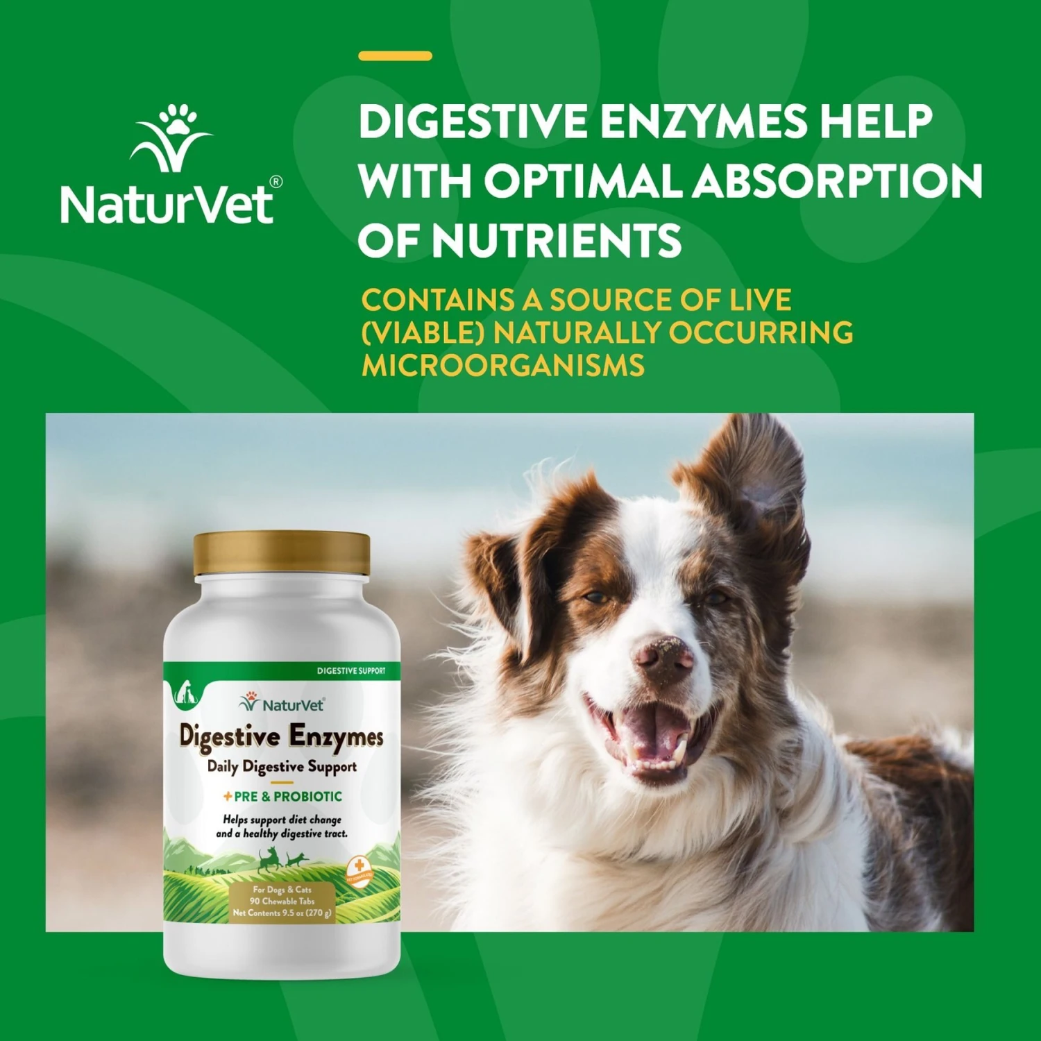 NaturVet Digestive Enzymes Plus Probiotic Chewable Tablets Digestive Supplement For Cats & Dogs 6 NaturVet Digestive Enzymes Plus Probiotic Chewable Tablets Digestive Supplement For Cats & Dogs - Image 4