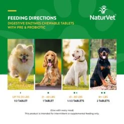 NaturVet Digestive Enzymes Plus Probiotic Chewable Tablets Digestive Supplement For Cats & Dogs 17 NaturVet Digestive Enzymes Plus Probiotic Chewable Tablets Digestive Supplement For Cats & Dogs -NaturVet 63794 PT6. AC SS1800 V1698694290