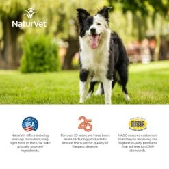 NaturVet Digestive Enzymes Plus Probiotic Chewable Tablets Digestive Supplement For Cats & Dogs 19 NaturVet Digestive Enzymes Plus Probiotic Chewable Tablets Digestive Supplement For Cats & Dogs -NaturVet 63794 PT8. AC SS1800 V1698692780