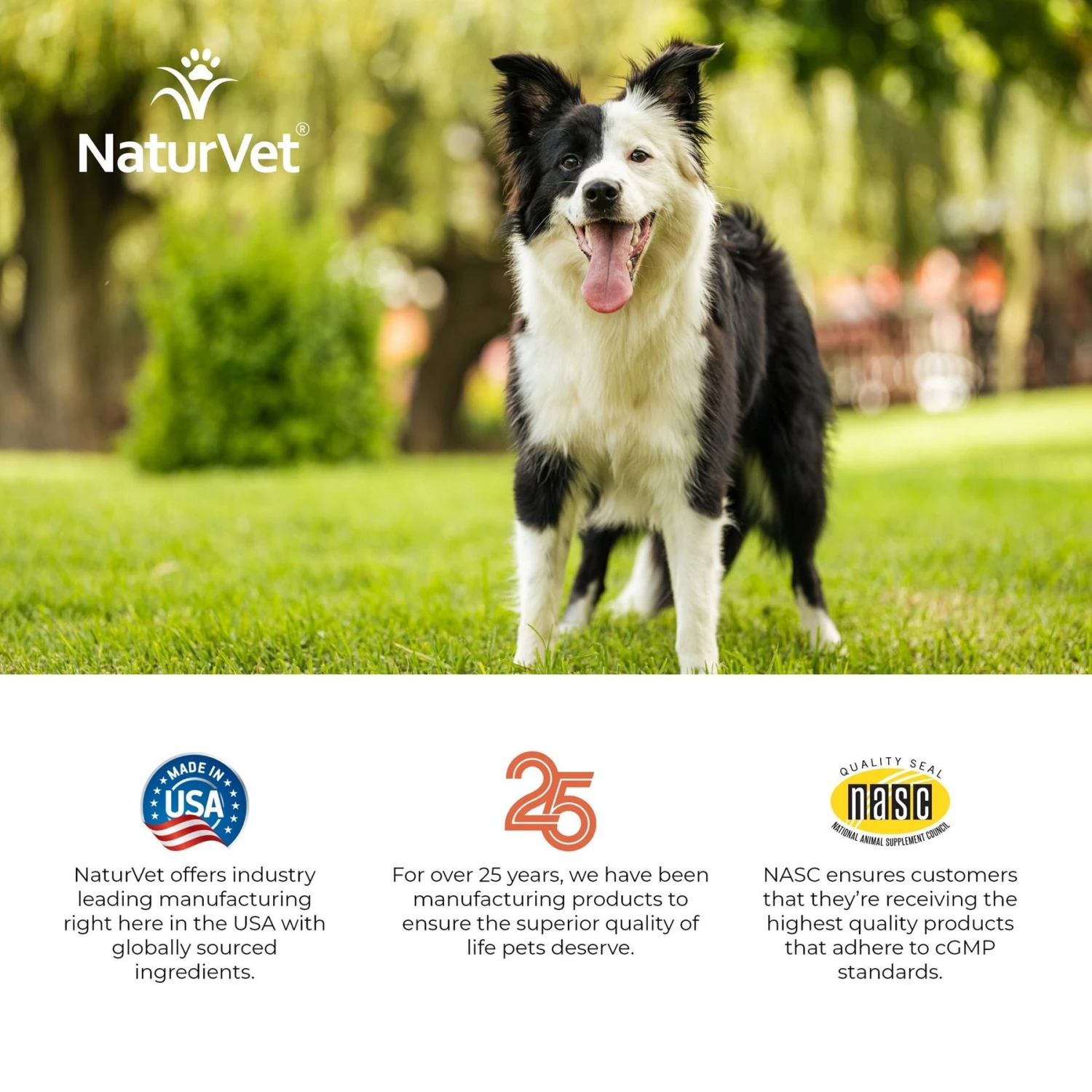 NaturVet Digestive Enzymes Plus Probiotic Chewable Tablets Digestive Supplement For Cats & Dogs 11 NaturVet Digestive Enzymes Plus Probiotic Chewable Tablets Digestive Supplement For Cats & Dogs - Image 9