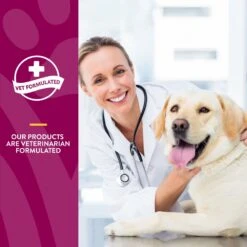 NaturVet Advanced Care ArthriSoothe-GOLD Chewable Tablets Joint Supplement For Cats & Dogs 15 NaturVet Advanced Care ArthriSoothe-GOLD Chewable Tablets Joint Supplement For Cats & Dogs -NaturVet 63802 PT5. AC SS1800 V1698694291