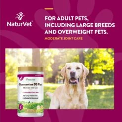 NaturVet Moderate Care Glucosamine DS Plus Chewable Tablets Joint Supplement For Dogs 13 NaturVet Moderate Care Glucosamine DS Plus Chewable Tablets Joint Supplement For Dogs -NaturVet 63803 PT3. AC SS1800 V1698693174