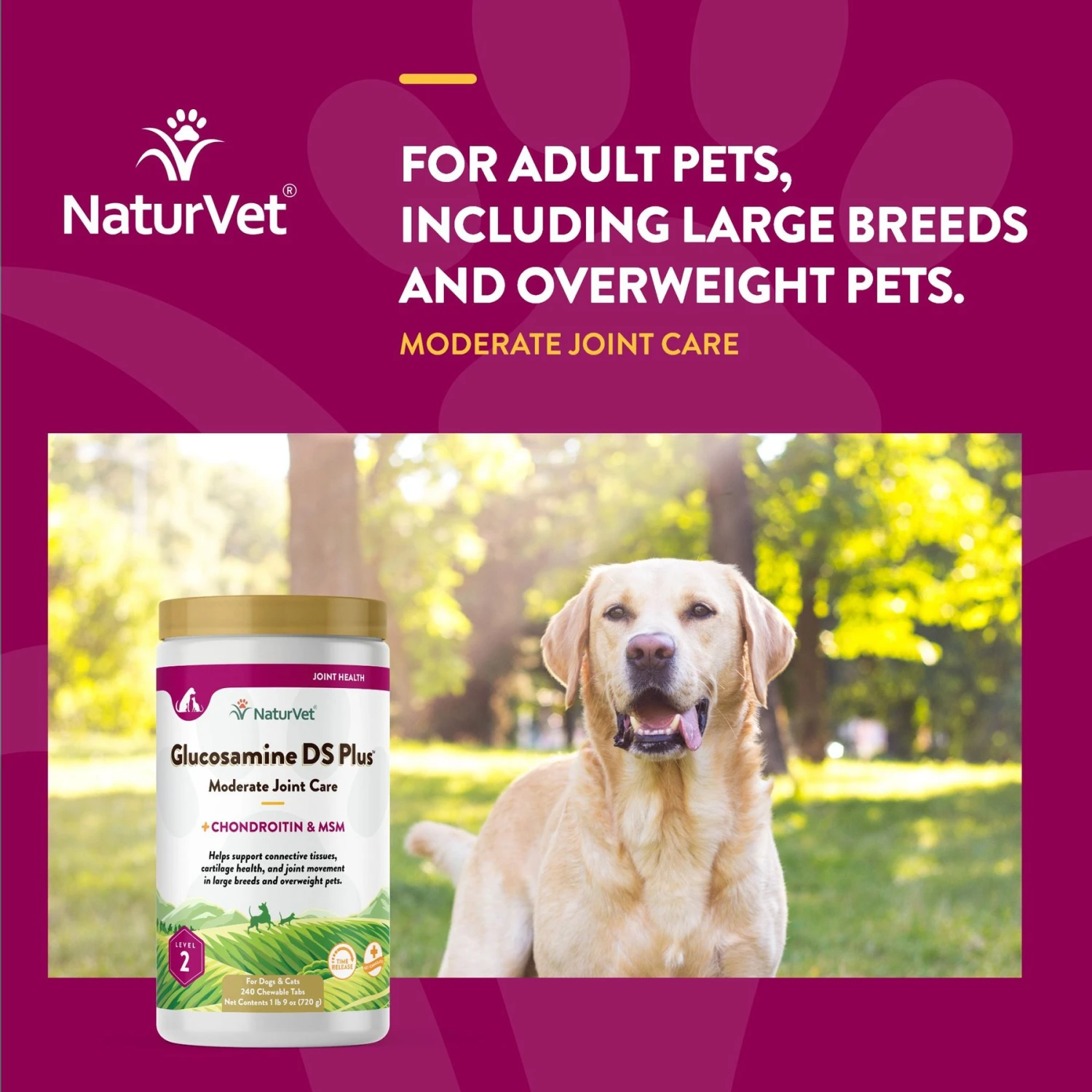 NaturVet Moderate Care Glucosamine DS Plus Chewable Tablets Joint Supplement For Dogs 6 NaturVet Moderate Care Glucosamine DS Plus Chewable Tablets Joint Supplement For Dogs - Image 4